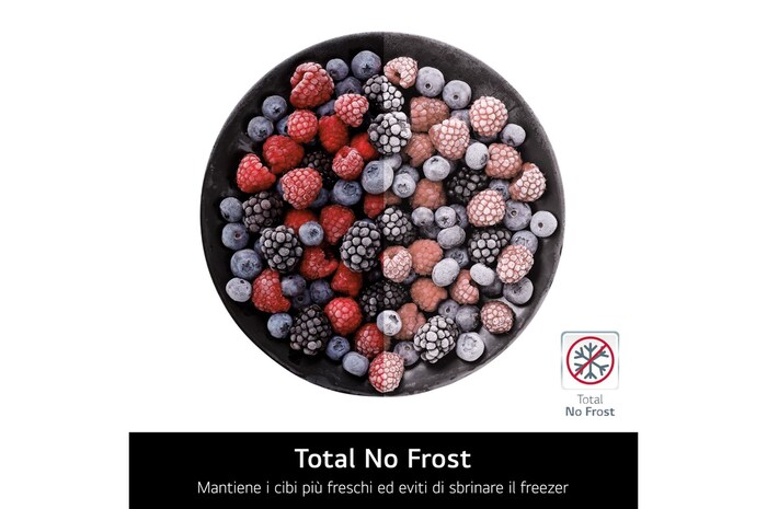 Total no frost frigorifero combinato GBBS323CPY